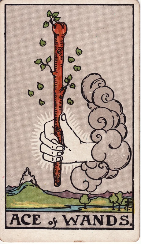 Ace of Wands — Át Gậy