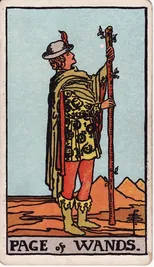 Page of Wands — Tiểu Đồng Gậy