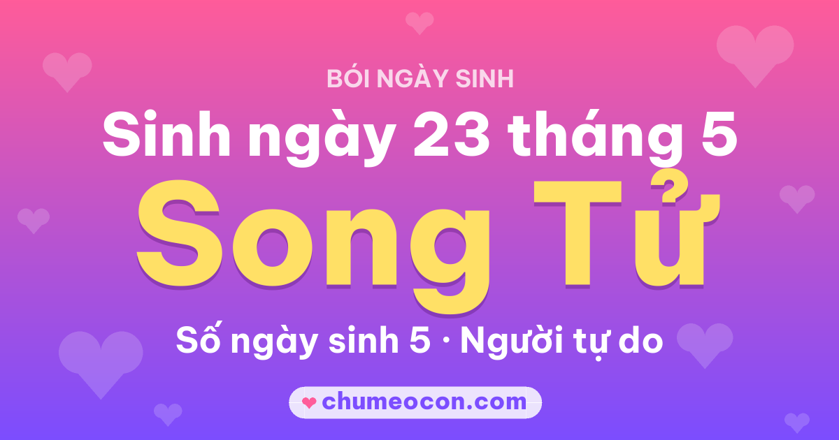 Ảnh kết quả: Sinh ngày 23 tháng 5: cung Song Tử, số ngày sinh 5