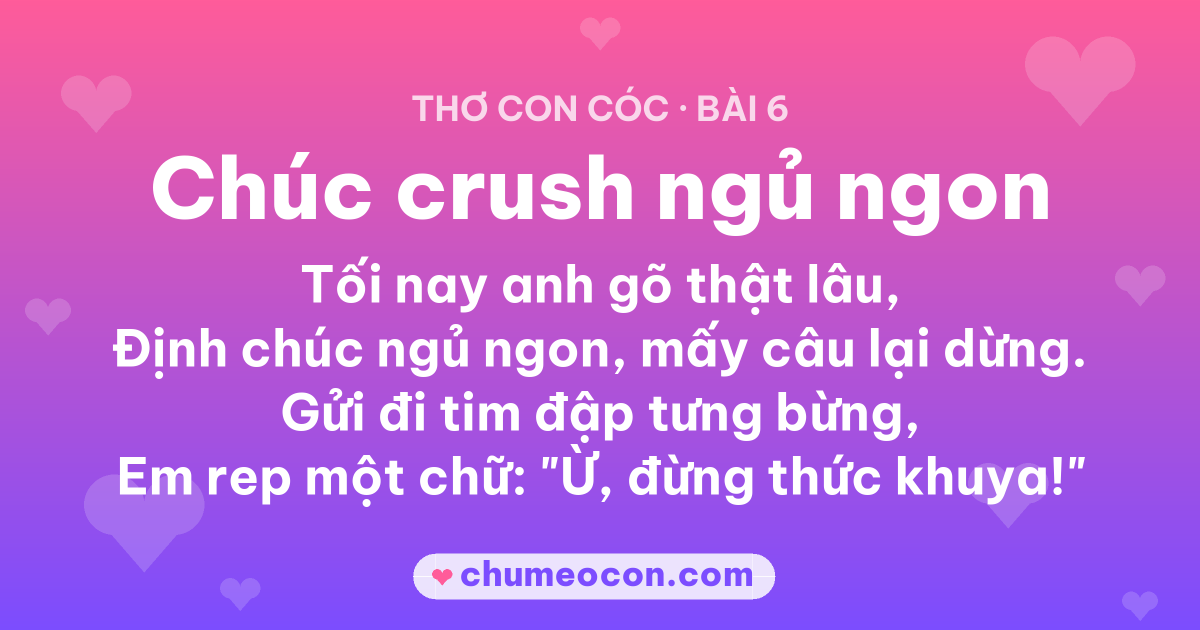 Ảnh kết quả: Thơ con cóc “Chúc crush ngủ ngon” — đọc xong cười xỉu 😂