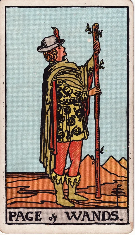 Page of Wands — Tiểu Đồng Gậy