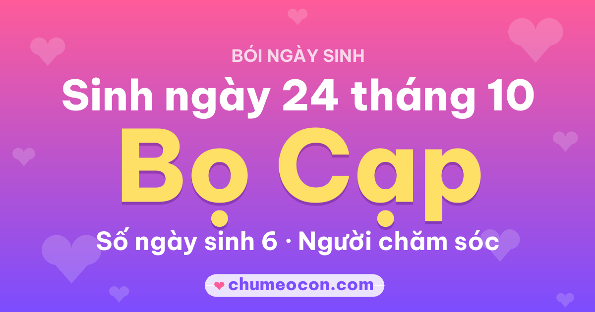 Ảnh kết quả: Sinh ngày 24 tháng 10: cung Bọ Cạp, số ngày sinh 6