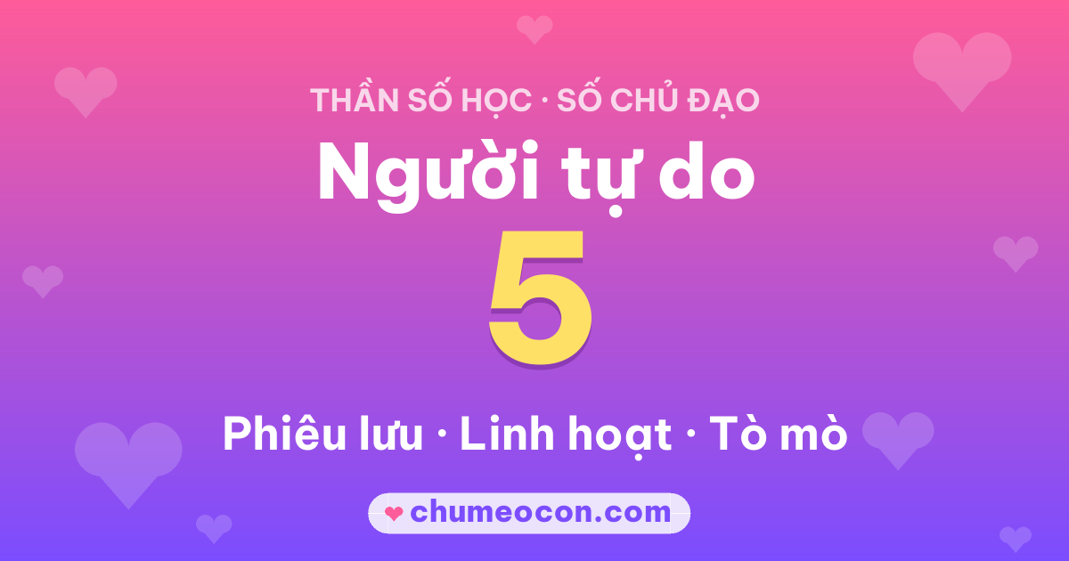 Ảnh kết quả: Số chủ đạo 5: Người tự do