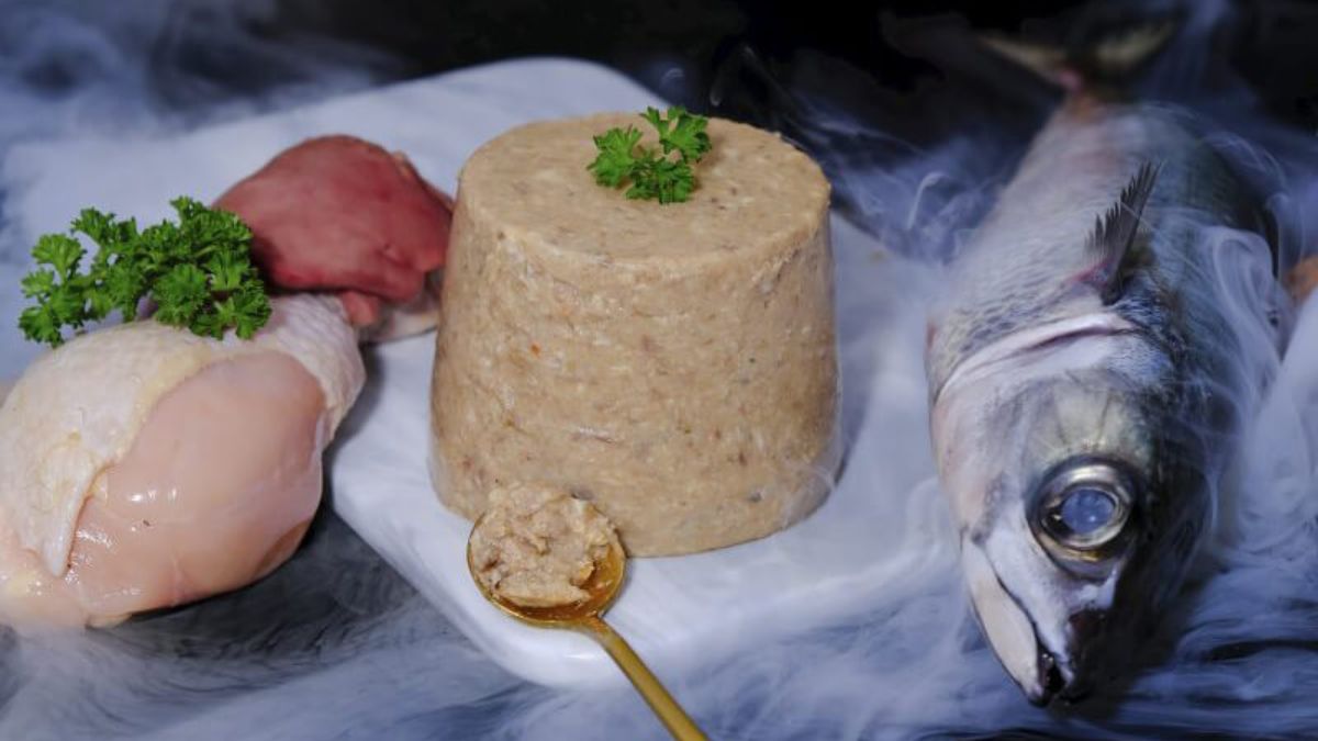 Tự Làm Pate Bổ Dưỡng Cho Mèo